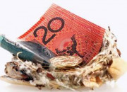 Dividend Income (Latest Reporting Season)