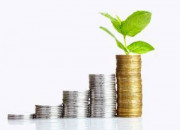 Majority of Expert Managers Continue to Under Perform