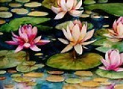 Lily Pond Riddle